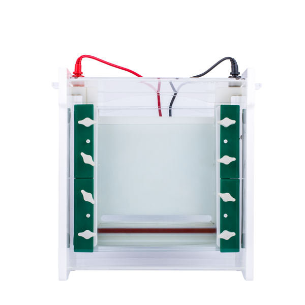 Sistema rápido de electroforesis vertical SSR. Modelo CS-SCZ6