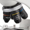 Microscopio binocular biológico. Modelo VE-B1