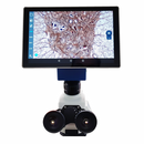 Microscopio digital con Tablet integrada. Modelo VE-300 PAD