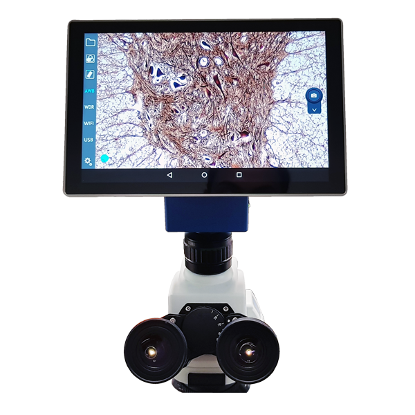 Microscopio digital con Tablet integrada. Modelo VE-300 PAD