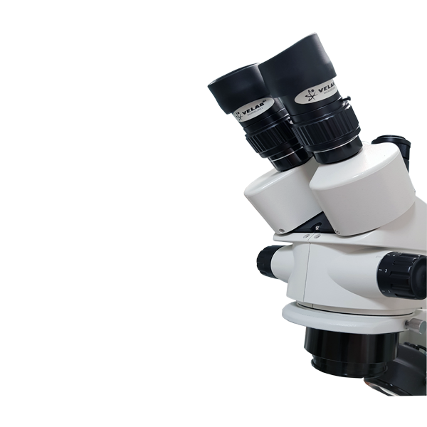 Microscopio Estereoscópico Triocular. Modelo VE-S5