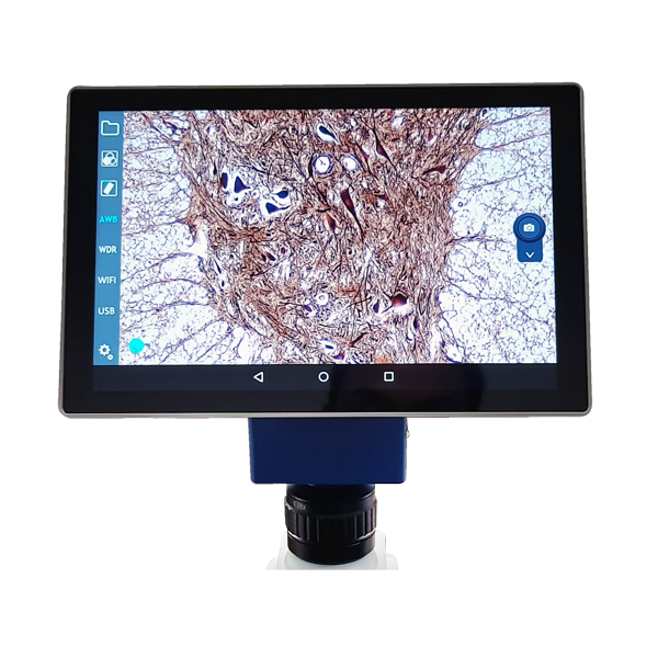 Tablet para microscopio. Modelo VE-SCOPEPAD 300