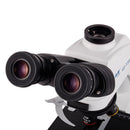 Microscopio triocular biológico. Modelo VE-T300