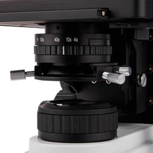 Cargar imagen en el visor de la galería, Microscopio triocular biológico. Modelo VE-T300